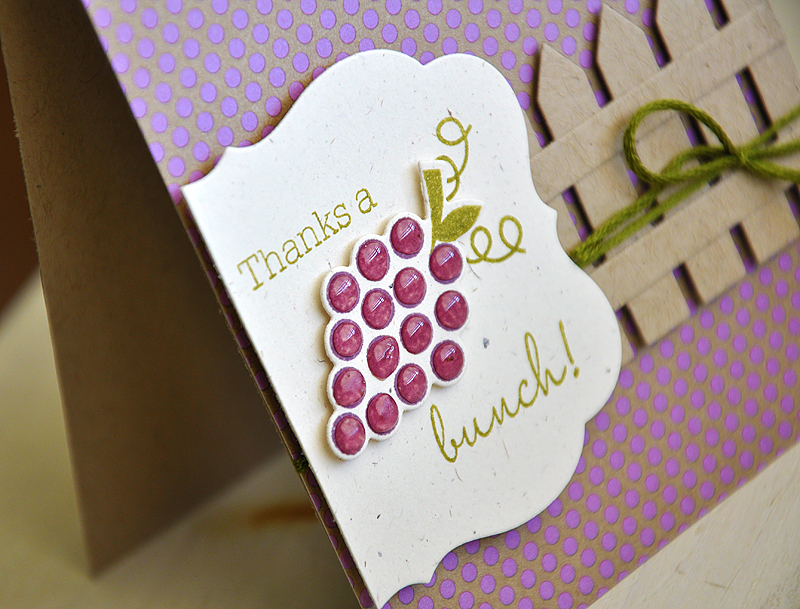 Stamps: Fruit Fusion: Grapes<br />
Ink: Ripe Avocado &amp; Plum Pudding<br />
Cardstock: Kraft...