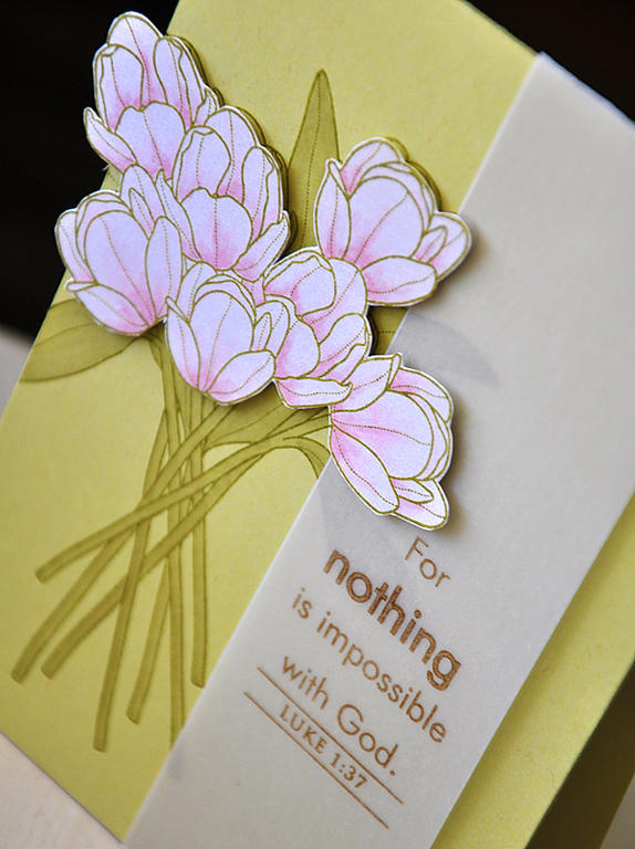 Stamps:  Friendship Jar Spring Fillers &amp; Beautiful Blessings<br />
Ink:  Ripe Avocado &amp;...