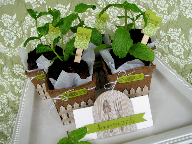 Mint chocolate cakes baked inside parchment lined seedling pots... yum!<br />
<br />
Stamps -...