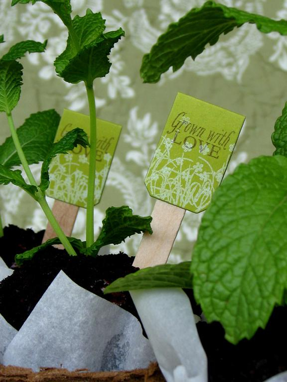 Stamps - Garden Variety<br />
CS - Simply Chartreuse, Kraft, Rustic Cream<br />
Ink - Dark...