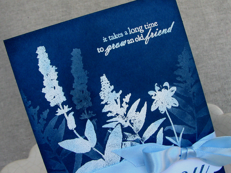 Stamps - Wildflower Garden, Think Big Favorites #4<br />
CS - Enchanted Evening, White<br />...