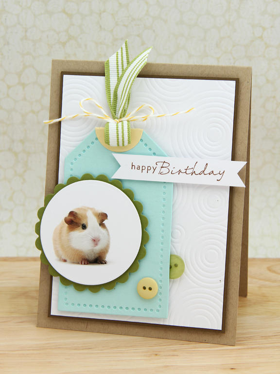 We finally caved and got my daughter a pet!<br />
<br />...