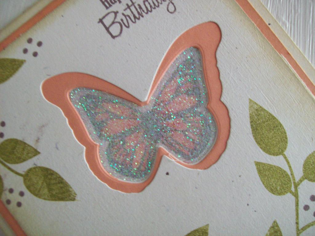 Beautiful Blooms, Butterfly Dreams