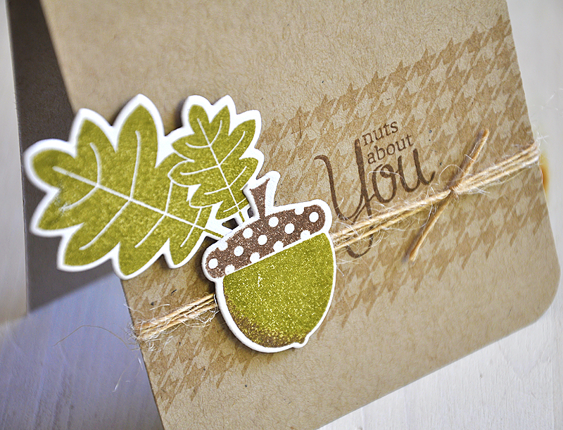 Stamps: Autumn Acorns &amp; Background Basic: Houndstooth<br />
Ink: Versamark, Ripe Avocado...