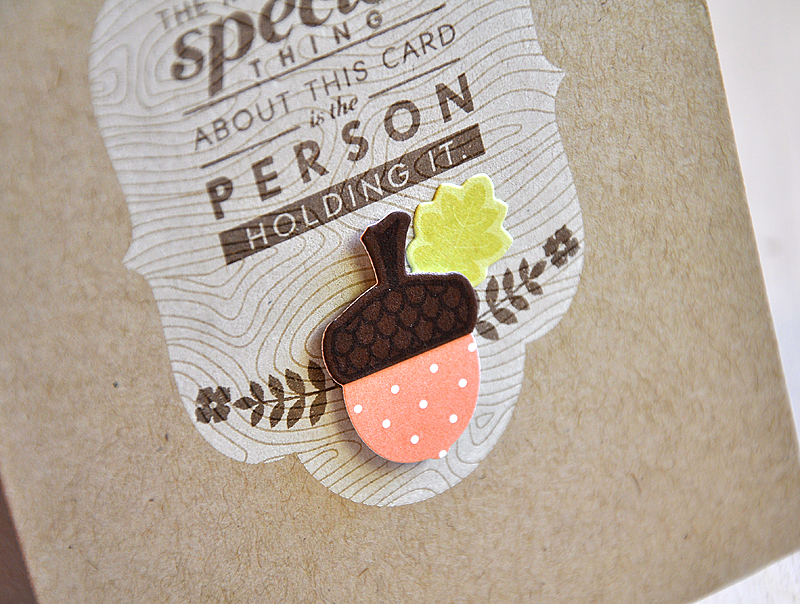 Stamps: Modern Wood Mats &amp; Autumn Acorns<br />
Ink: Fresh Snow, Dark Chocolate &amp;...