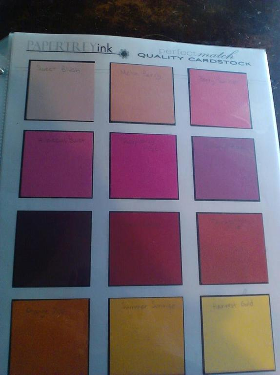 THESE PAGES ARE FILLED WITH SAMPLES OF PTI'S PERFECT MATCH CARDSTOCK