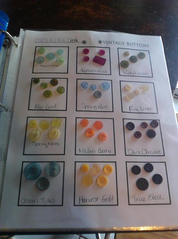 PTI'S BUTTONS IN EACH COLOR