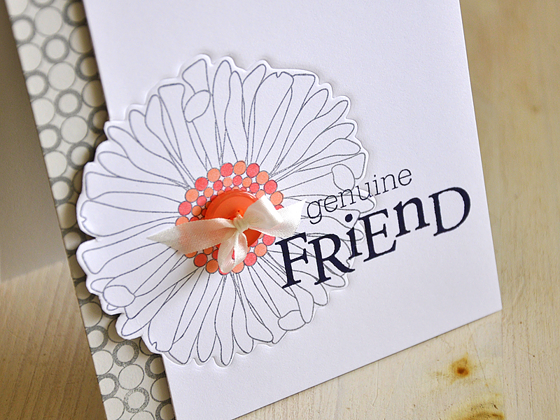 Stamps: Friends 'Til the End &amp; Background Basic: Circles<br />
Ink: True Black &amp;...