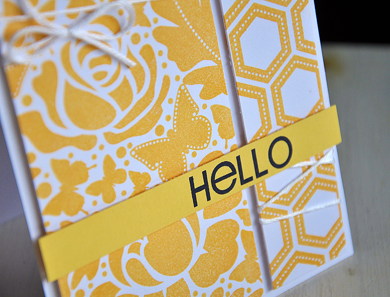 Stamps: Rosie Posie, Butterfly Dreams &amp; Fillable Frames #1<br />
Ink: Summer Sunrise &amp;...