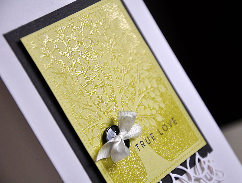 Stamps: Love &amp; Marriage and Congrats All Ways<br />
Ink: True Black &amp; Versamark<br />...