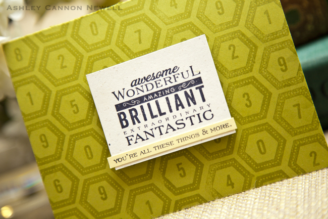 Supplies<br />
<br />
Stamps: Movers &amp; Shakers Sentiments + Rosie Posie<br />
Ink: True...