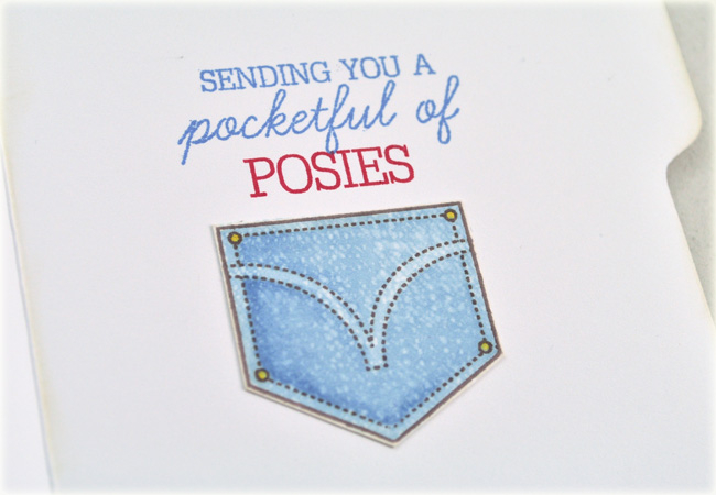 Posie Pocket inside