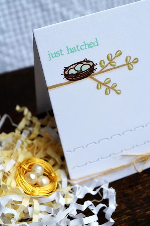 {Just Hatched} gift set<br />
Stamps - Little Bitty Bird Additions, Little Bitty Bird<br />
CS...