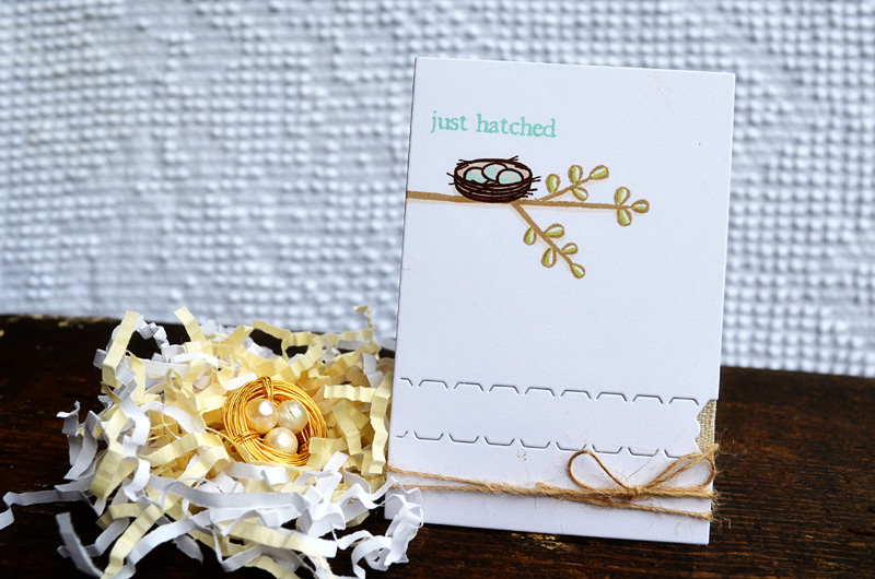 {Just Hatched} gift set<br />
Stamps - Little Bitty Bird Additions, Little Bitty Bird<br />
CS...