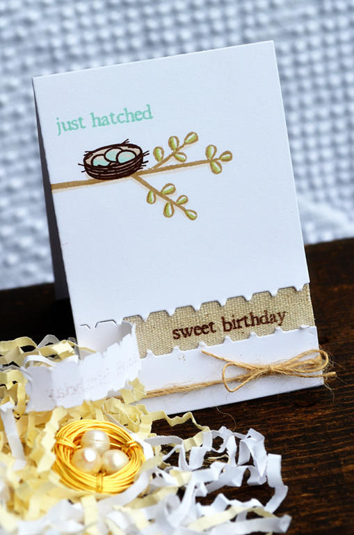 {Just Hatched} gift set<br />
Stamps - Little Bitty Bird Additions, Little Bitty Bird<br />
CS...