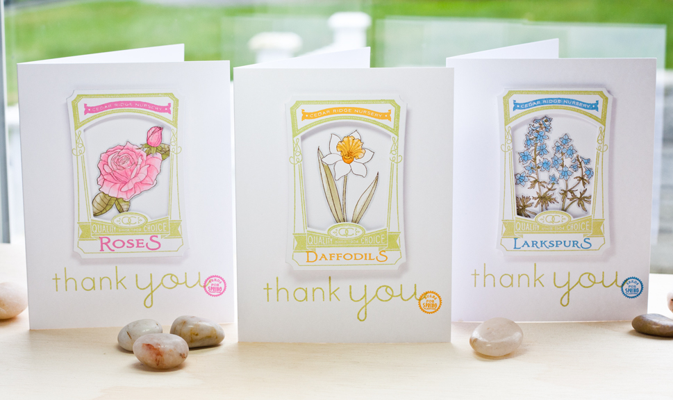 Thank You Flower Trio<br />
<br />
Stamps-  Garden Variety II, Year of Flowers Titles, Think...