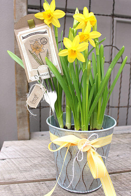 stamps: Garden Variety, Garden Variety II, Year of Flowers Collection, Year of Flowers Titles,...