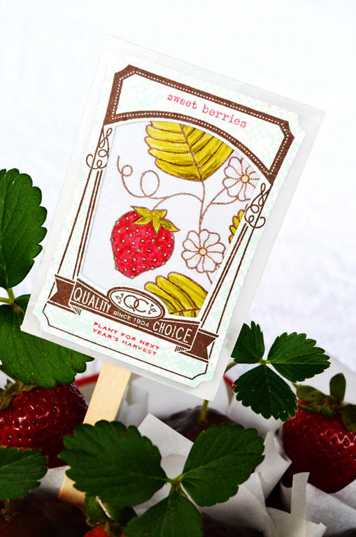 {Garden Variety Seedling} treats &amp; card<br />
<br />
Stamps - Garden Variety II,...