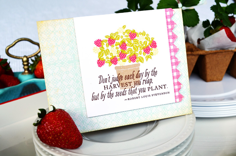{Garden Variety Seedling} treats &amp; card<br />
<br />
Stamps - Garden Variety II,...