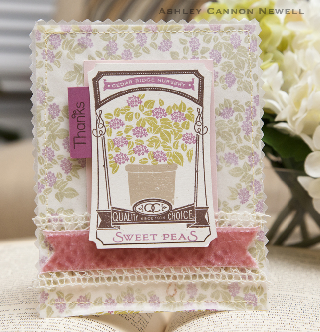 Supplies<br />
<br />
Stamps: Garden Variety II, Year of Flowers Titles, Trendy Tree Tops<br...