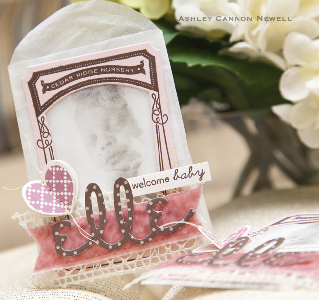 Supplies<br />
<br />
Stamps: Garden Variety II, Heart-2-Heart #3, Baby Face<br />
Ink: Dark...