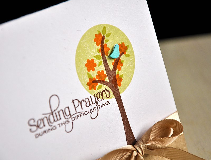 Stamps: Beautiful Butterflies, Hanging Out &amp; Trendy Tree Tops<br />
Ink: Dark Chocolate,...