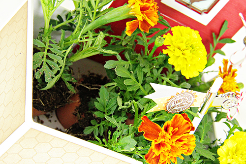 Stamps: On the Farm, Framed Out #1, Mother, Little Bitty Birdie Additions, Background Basics:...