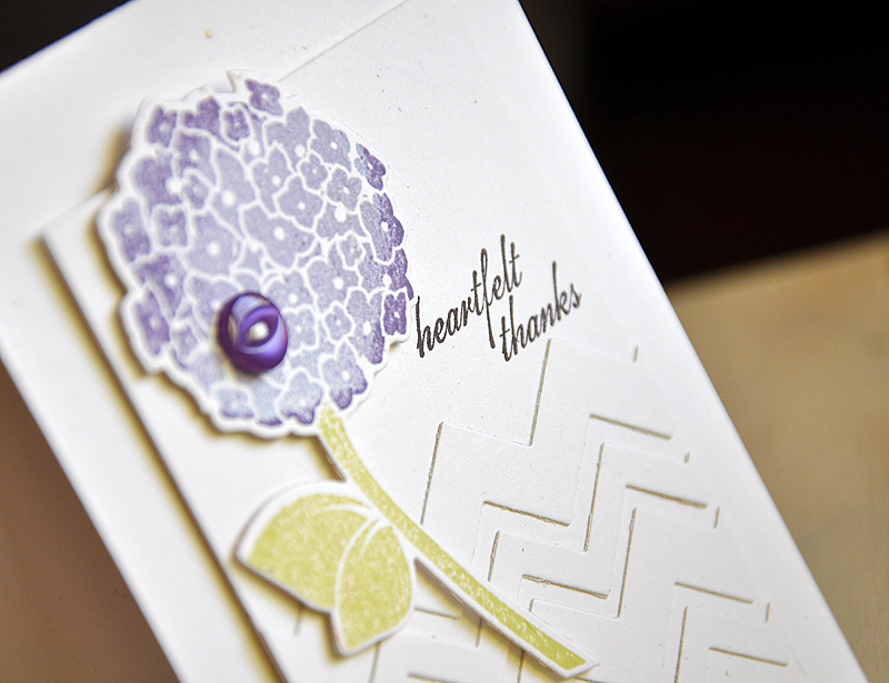 Stamps: Happy Hydrangea<br />
Ink: Winter Wisteria, Plum Pudding &amp; Smokey Shadow<br />
CS:...