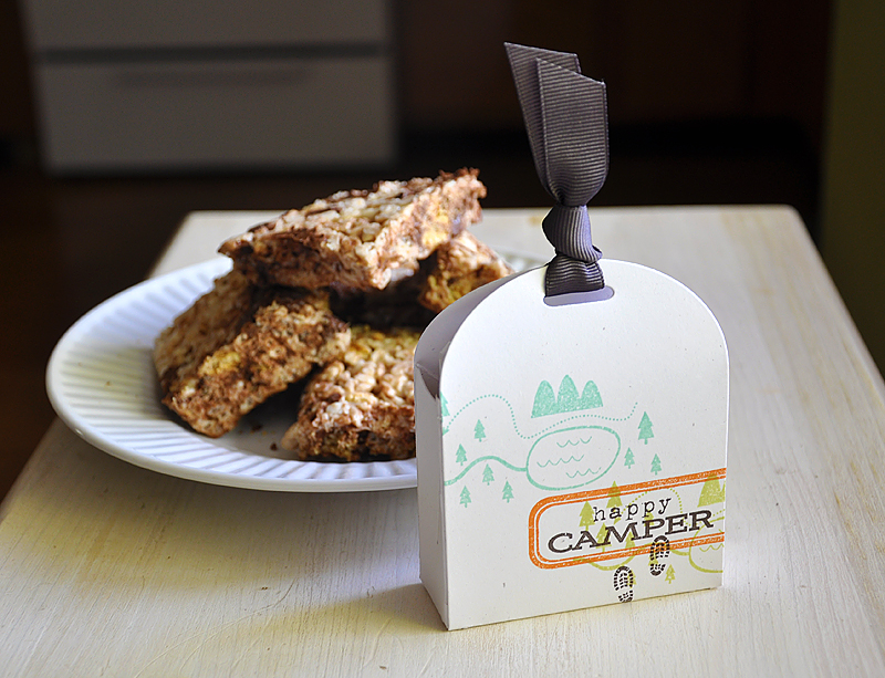 Stamps: Summer Camp<br />
Ink: Aqua Mist, Spring Moss, Canyon Clay &amp; Smokey Shadow<br />...