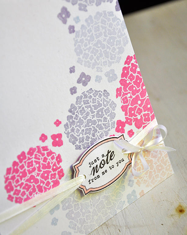 Stamps:  Happy Hydrangea &amp; Framed Out #4<br />
Ink:  Hibiscus Burst, Sweet Blush, Winter...