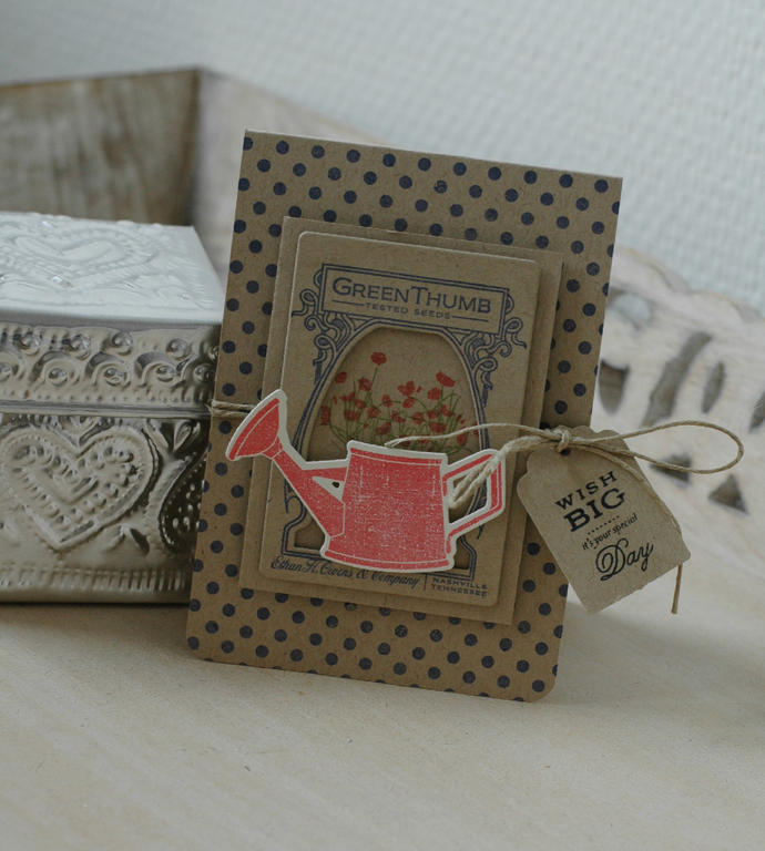 Wish big...<br />
stamp sets: Garden Variety, Birthday Tags 2012, Polka Dots