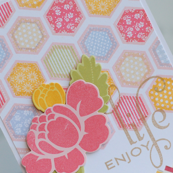 Stamps:  Happy Hexagons, Rosie Posie, Think Big Favorites #17<br />
Ink:  Spring Rain, Spring...
