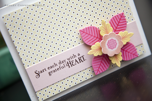 Supplies<br />
<br />
Stamps: Lovely Layers<br />
Ink: Dark Chocolate, Hibiscus Burst,...