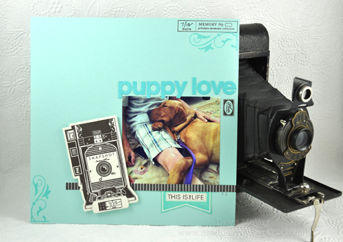 Paper: aqua mist, rustic cream, hawaiian shores, smokey shadow pattern pack<br />
Stamps:...