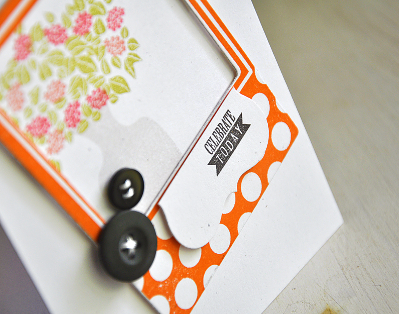 Stamps: Fabulous Frames, Mega Gracious Vases, Garden Variety II &amp; Framed Out #6<br />
Ink:...