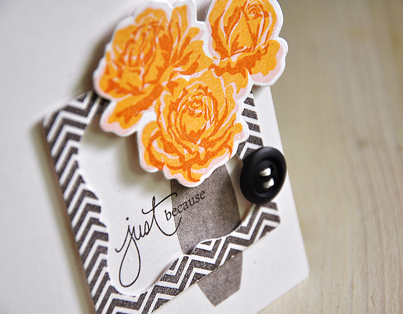 Stamps: The Sweet Life, Fabulous Frames, Mega Gracious Vases &amp; Signature Greetings II<br />...