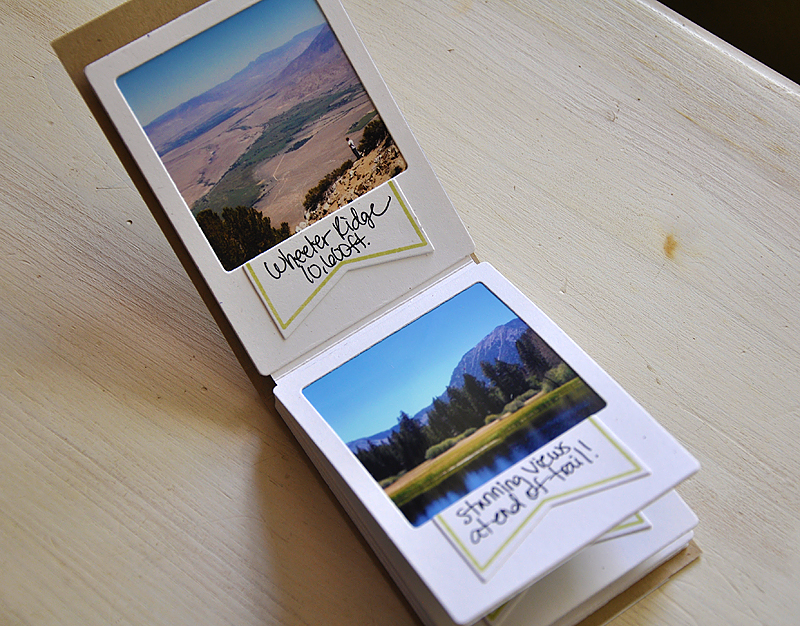 Stamps: Fabulous Frames<br />
Ink: Simply Chartreuse, Spring Moss &amp; Smokey Shadow<br />...