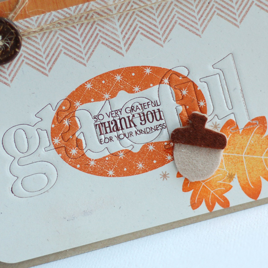 Stamps:  Framed Out #7, Background Basics: Herringbone, Autumn Acorns<br />
Ink:  Dark...