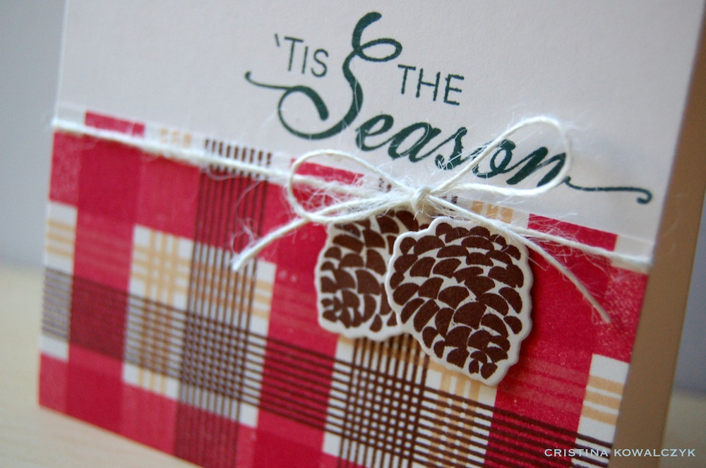Cardstock: vintage cream<br />
Stamps: Peaceful Pinecones, Background Basics: Super Stripes,...