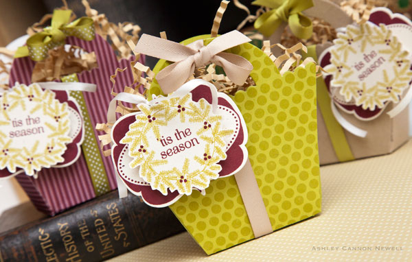 Supplies<br />
<br />
Stamps: 2012 Holiday Tags, Polka Dot Basics II<br />
Ink: Simply...