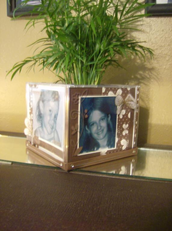 This CD case planter was made for the CD challenge blog hop.  You can find out more info on my blog.