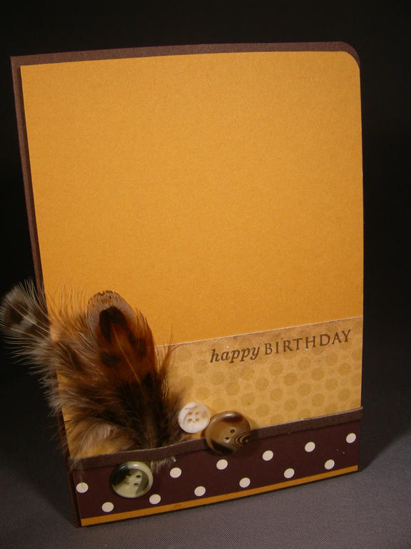 I love feathers and have decided to incorporate them into my cards.  This is a Clean and Simple...