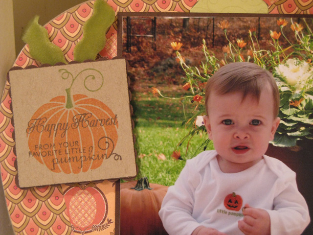 Detail of Dark Chocolate scalloped square and Kraft square with pumpkin image and sentiment
