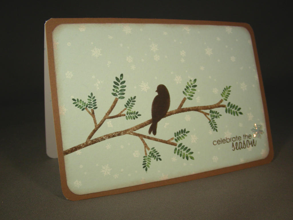 It&#039;s Christmas card time!  I love this little fellow sitting on his branch and the soft...