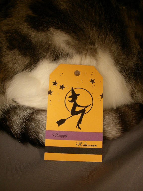 This tag was made for Loonie Stamper Challenge #7.  It features Summer Sunrise, Plum Pudding and...