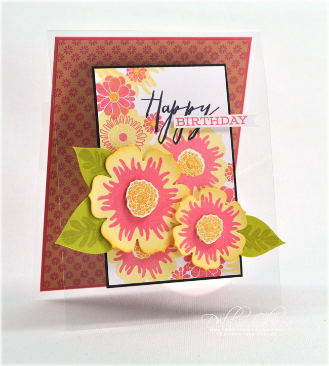 Stamps: Happiness In Bloom<br />
Cardstock: Clear cardstock, True Black, Berry Sorbet, Limeade...