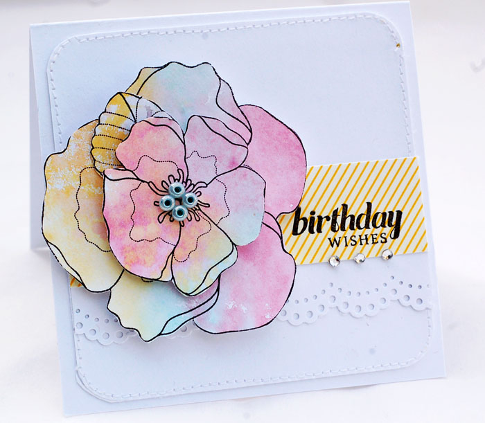 Year in Flowers: Violets