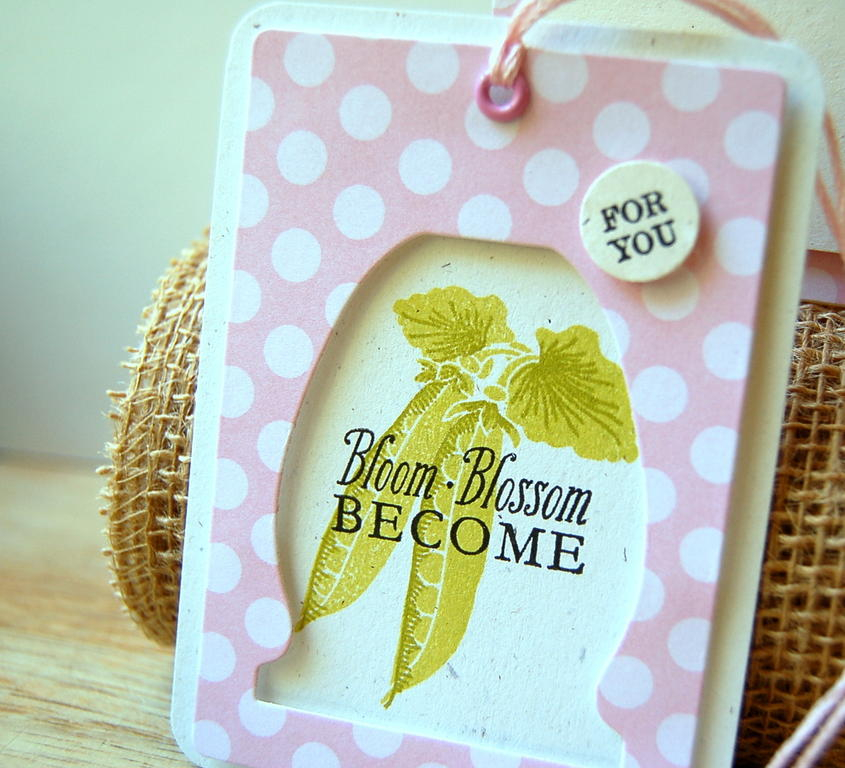 Cardstock: rustic cream<br />
Patterned paper: sweet blush<br />
Stamps: Vegetable Garden,...