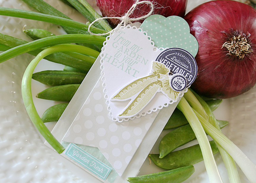 STAMPS: Vegetable Garden, Garden Variety, Garden Variety II<br />
INK: Spring Moss, Ripe...