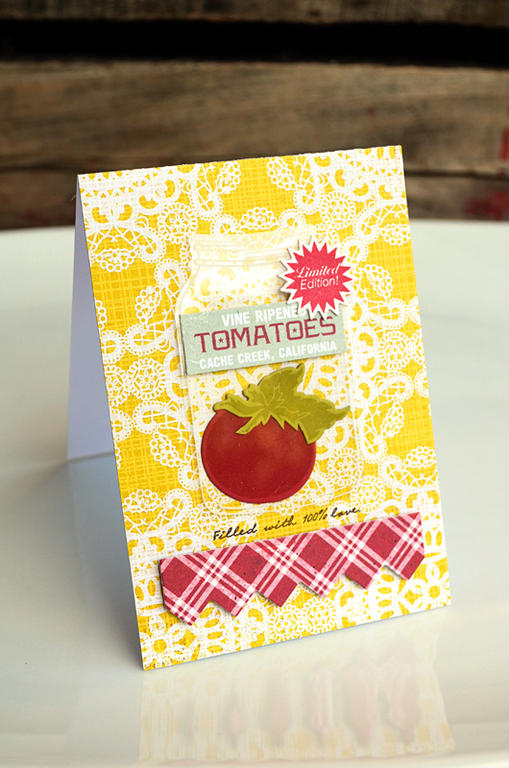 {100% Love} card<br />
<br />
Stamps - Vegetable Garden, Friendship Jar, Ad Sense<br />
CS -...